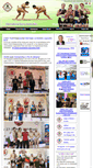 Mobile Screenshot of ifs-sumo.org